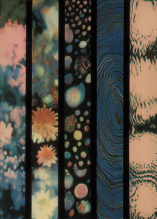 Spectrum in Kleur Poster detail