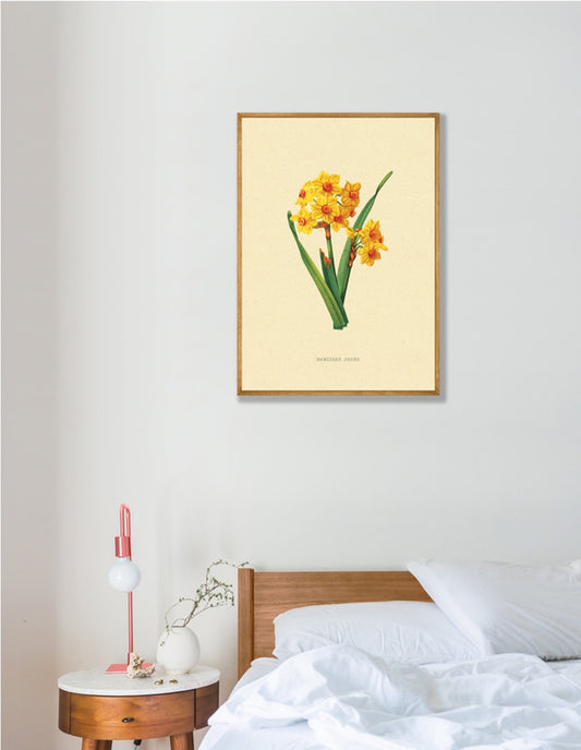 Narcis Bloem Vintage Poster