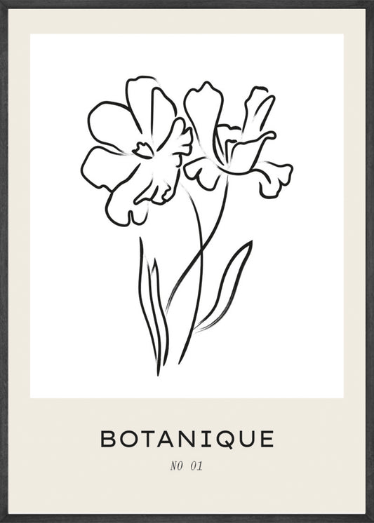 Bohemian Botanique No1 Poster